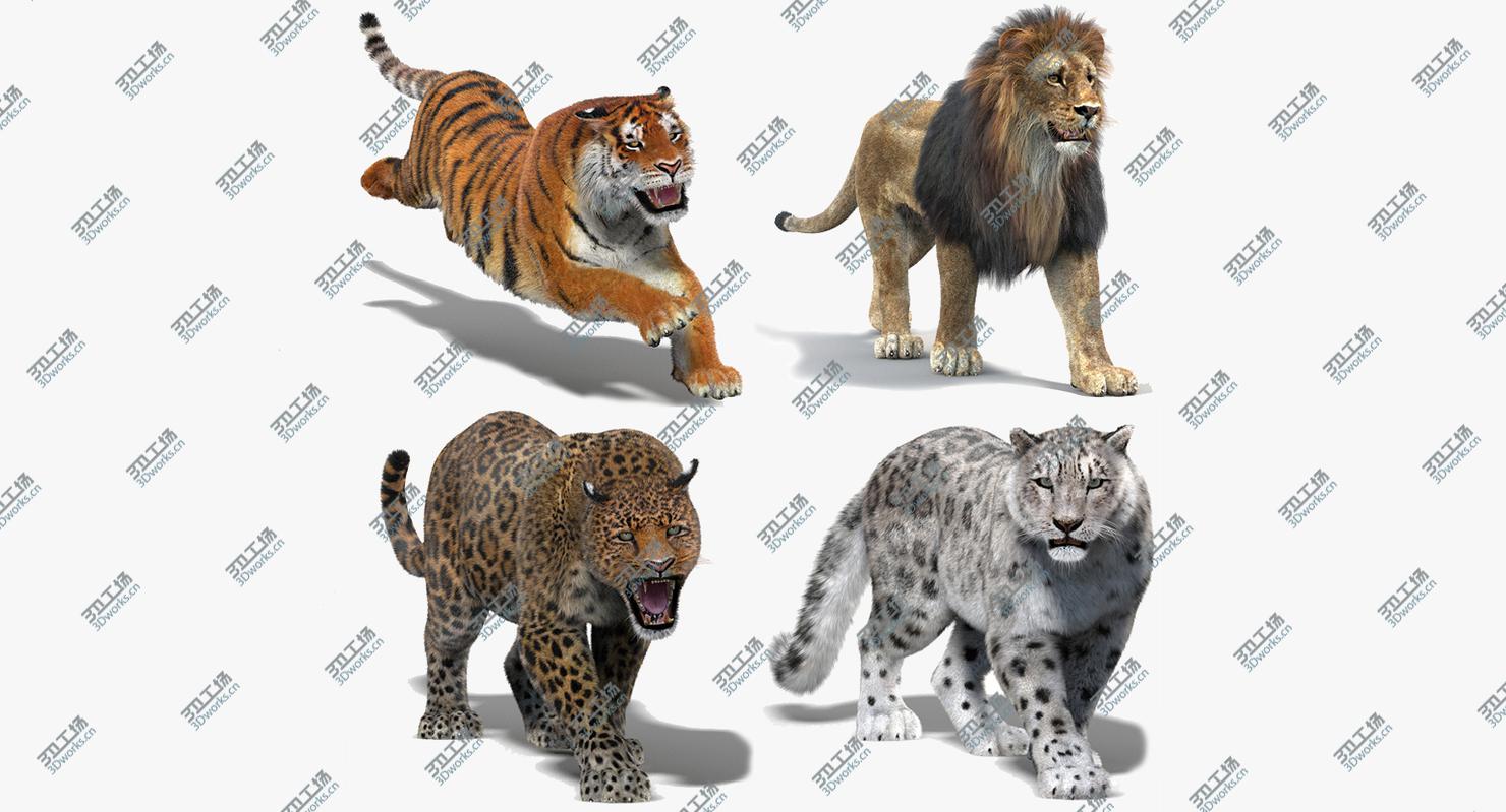 images/goods_img/202105072/3D model Big Cats Animated (Fur)/2.jpg